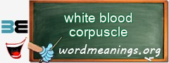 WordMeaning blackboard for white blood corpuscle